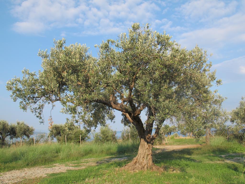 Holiday Home Stella Di Sicilia แอคเควโดลชิ ภายนอก รูปภาพ